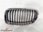 B51137201967 Kidney standard L.-side