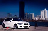 ZP6MGM102045L BMW F11 -  20" Z-Performance -Type 6- rim 10x20 ET45, Matte Gun Metal (fits only rear)