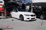 ZP6MGM102045L BMW F11 -  20" Z-Performance -Type 6- rim 10x20 ET45, Matte Gun Metal (fits only rear)