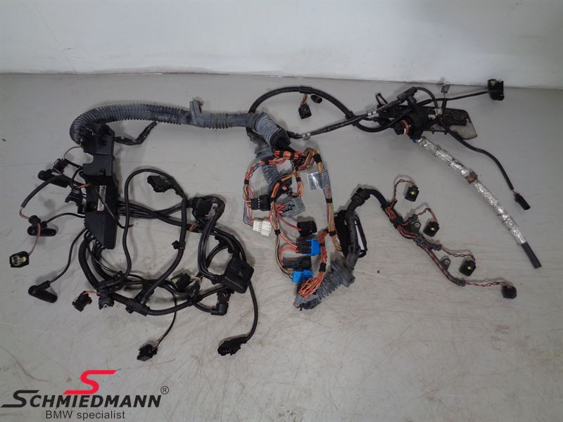 Bmw E60 Lci Engine Wiring Harness Schmiedmann Used Parts