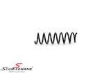 4208481 BMW F10 -  Spring rear (For models without M-tech.)