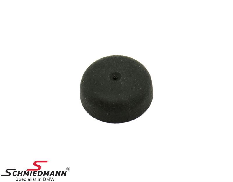 Cover for screw for side rear view mirror