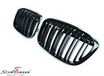 NSX1F48HGDG BMW X1 (F48) -  Kidney set high gloss black with double grill spokes