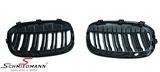 NSX1F48HGDG BMW X1 (F48) -  Kidney set high gloss black with double grill spokes