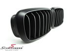 NSFX5F15MB BMW X5 (F15) -  Kidney set matte black 