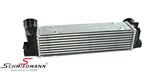 17517540035AQ 17517540035 17 51 7 540 035 7540035 BMW E91 -  Intercooler