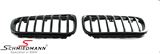 NSX1F48 BMW X1 (F49) -  Kidney set matte black 