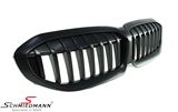 NSG20 BMW G20 -  Kidneys matt black 