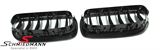 NSF1011CARLDG BMW F10 -  Kidney set carbon look with double grill spokes (not genuine carbon)