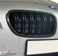 NSF1011CARLDG BMW F10 -  Kidney set carbon look with double grill spokes (not genuine carbon)