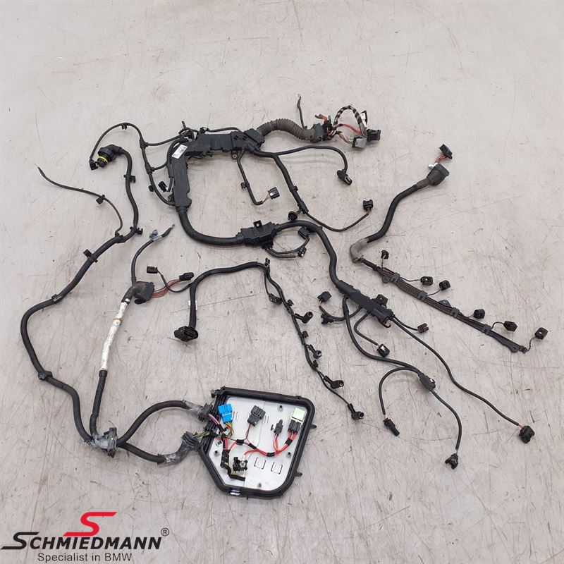 Engine Wiring Harness 