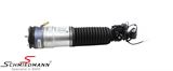37-12-6-796-929 Pneumatic spring Rear L.- side