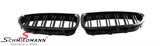 NSF10CLDGV2 BMW F10 -  Kidney set silver carbon look with double grill spokes (not genuine carbon)