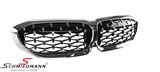 NSG20DIACC BMW G21 -  Kidney grill Diamond pattern chrom with chrom slats