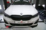 NSG20HG BMW G21 -  Kidneys high gloss black 