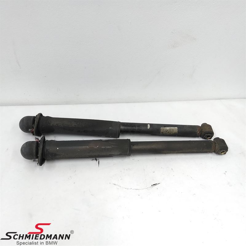 Schockabsorber set rear M-tech