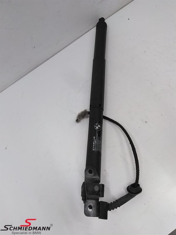 Automatic Trunk strut L.-side 