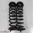 R21755 Spring rear set 2pcs