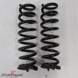 R21908 Spring rear set 2pcs