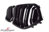 NSG06DSG BMW X6 (G06) -  Kidney set highgloss black with double grille