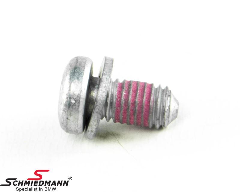 Filister head screw