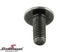 BMW 41008436007 41008436007 41 00 8 436 007 8436007 / 41-00-8-436-007 41008436007 41 00 8 436 007 8436007  Fillister head bolt with collar, M5x12-10.9-ZNSW