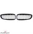 NSE89DIAMBC BMW Z4 (E89) -  Diamond style kidney set in gloss black with chrome details