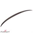 HSLF10CAR  Rear spoiler -Evolution- Genuine carbon fiber