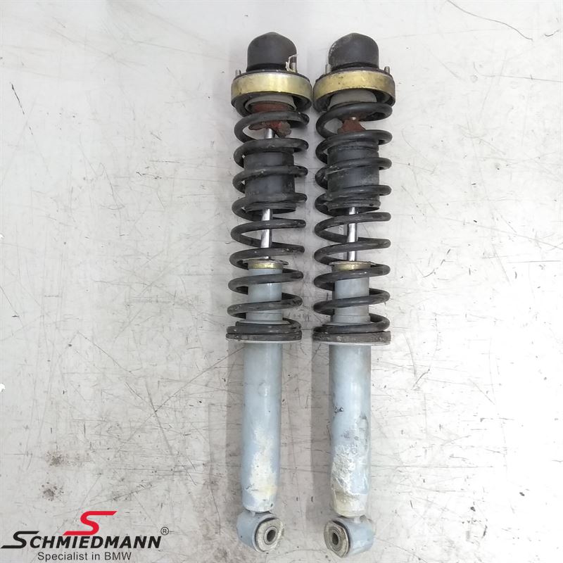 Shock absorber set rear