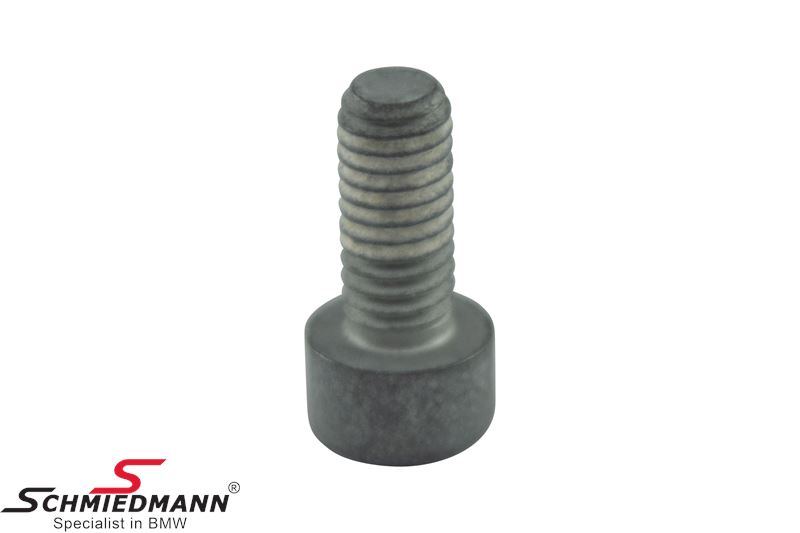 INNER HEX BOLT M6X14 - 34206870566, 34 20 6 870 566, 6870566, 34 