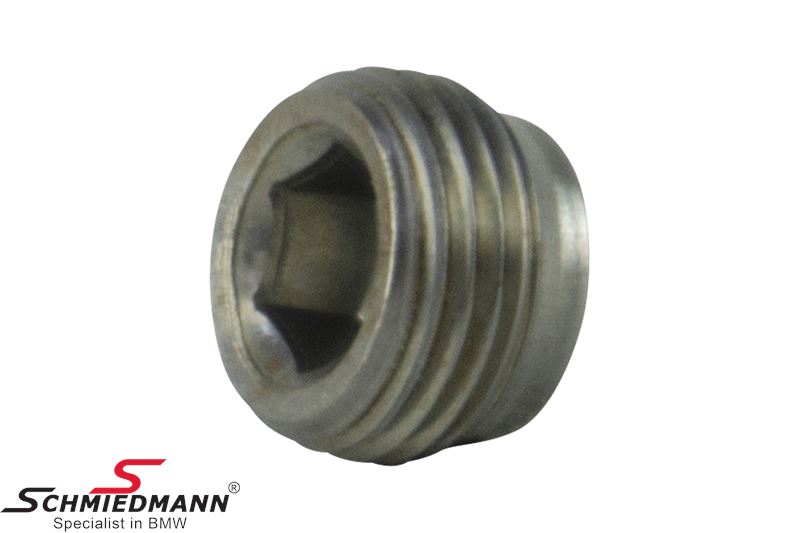 Blind plug for rocker arm axel (M12x1mm)