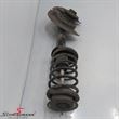 C36529 31311127316 31 31 1 127 316 1127316 宝马 Z1 -  Springstrut right 51mm