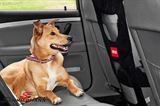 02569 宝马 G81 M3 Touring -  Pet back seat barrier