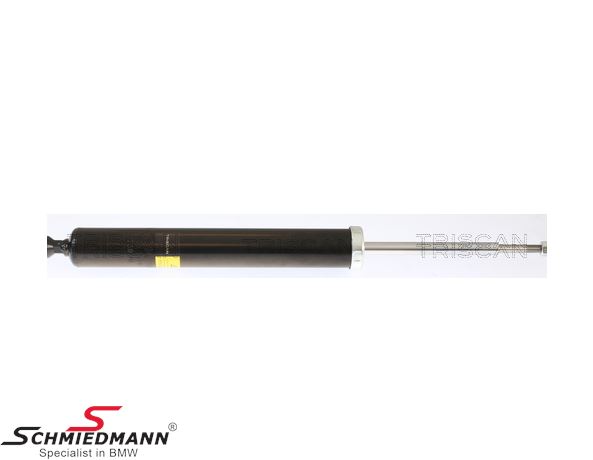 Shock absorber, rear