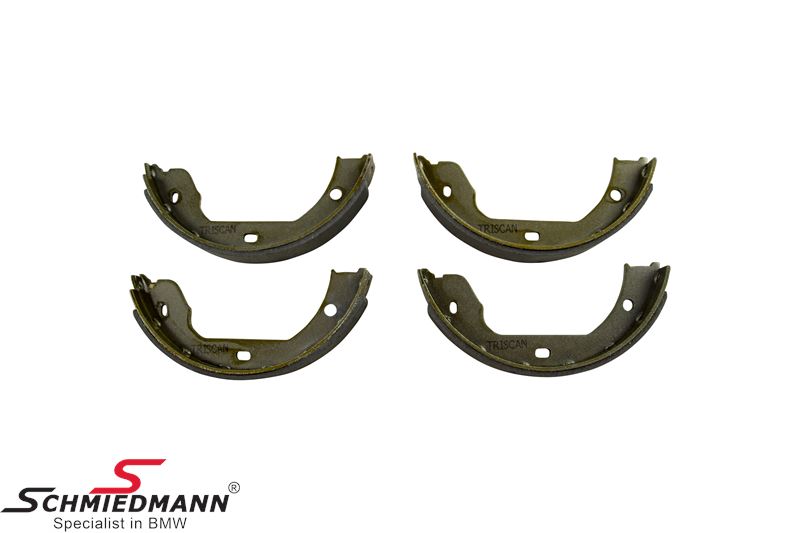 Brake shoe set