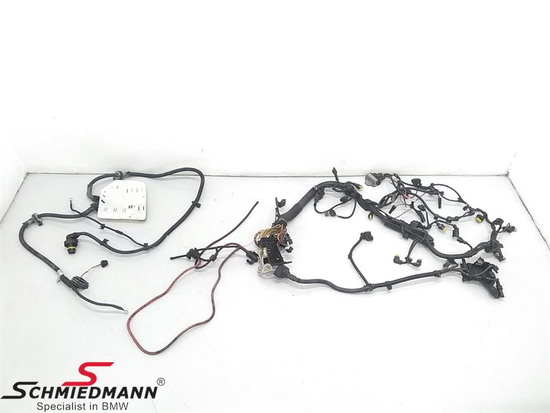 Engine Wiring Harness - 12518574486