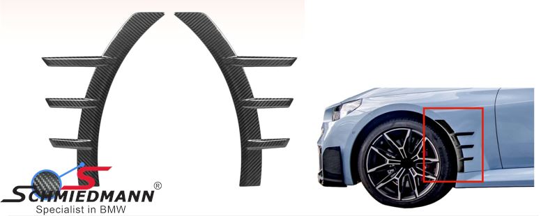 Fender extension set, front, -Motorsport II- Carbon