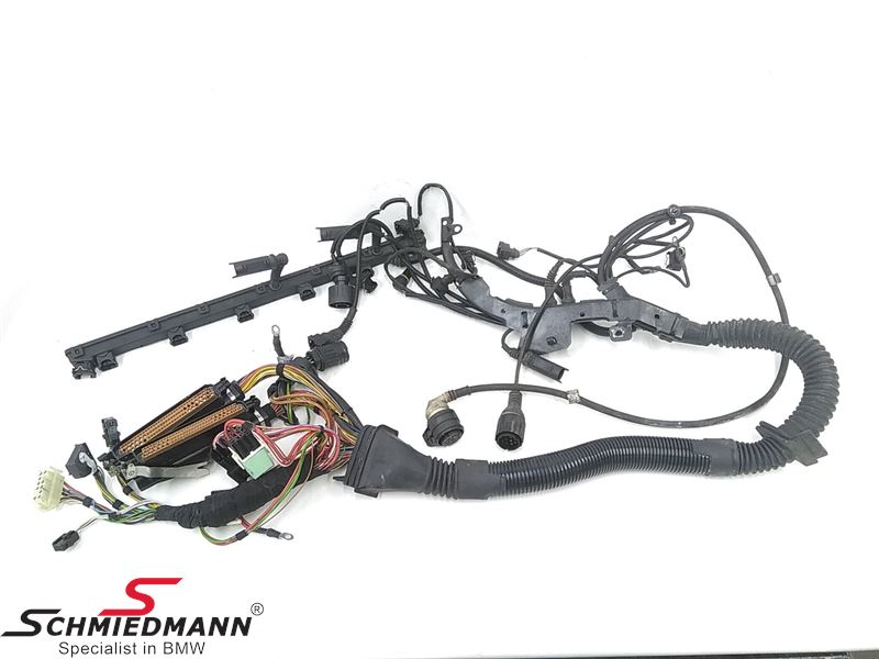 Engine Wiring Harness (Without EU2)