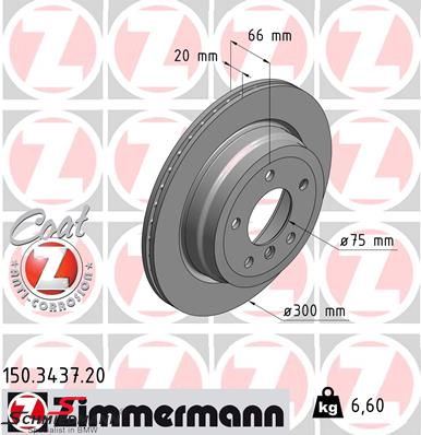 Brake disc rear 300X20mm - ventilated, coated