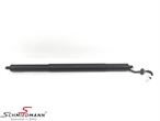 C52868 Automatic Trunk strut (10366km)