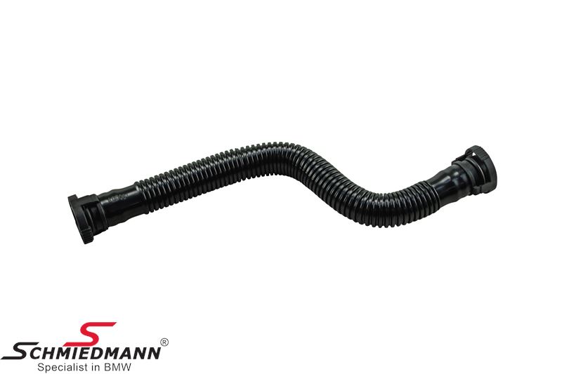 Ventilation hose for crankcase ventilation valve