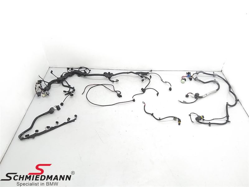 Engine Wiring Harness