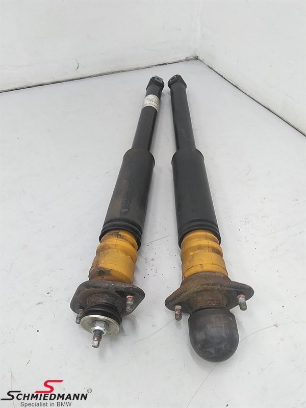 Shock absorber set rear