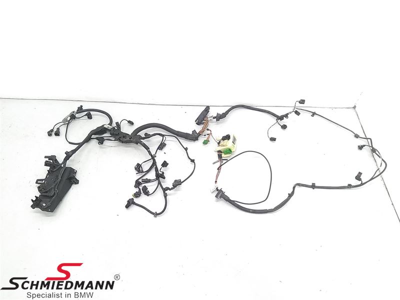 Engine Wiring Harness 