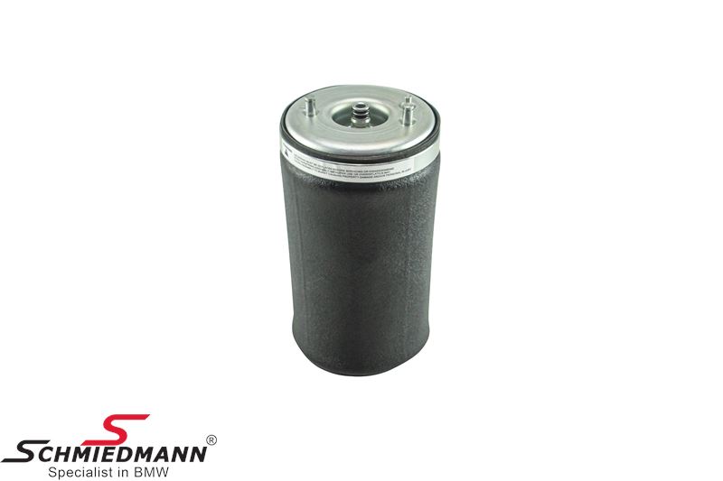 Pneumatic spring rear, left side