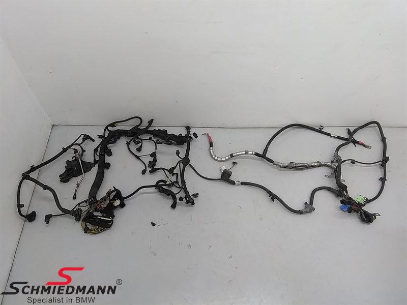 Engine Wiring Harness - 12518574486