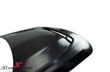 AN-0316  ALPHA-N, Hood - Carbon