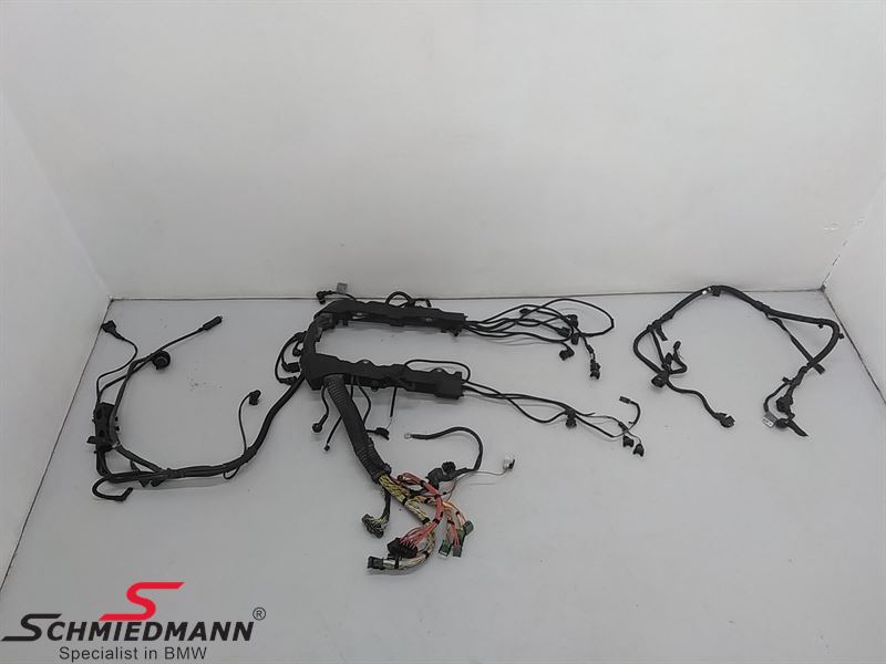 Engine Wiring Harness 