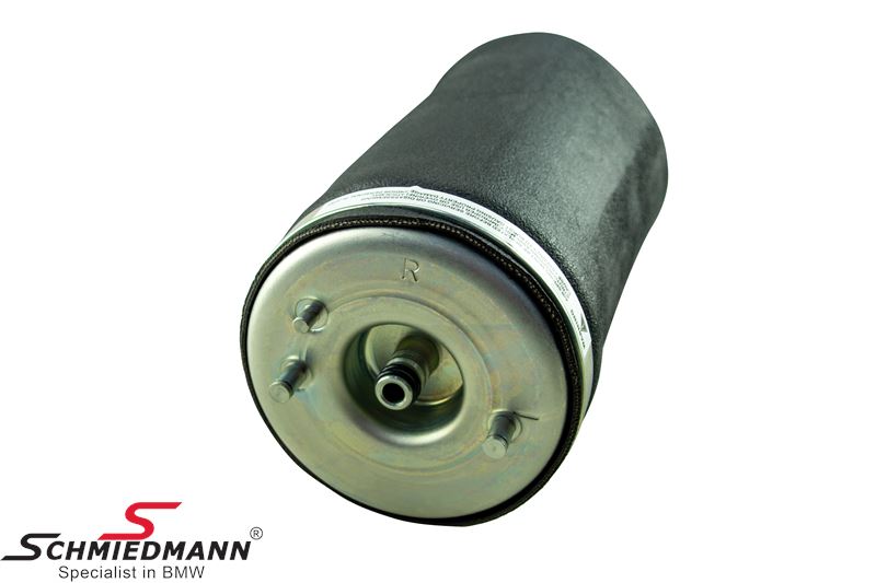 Pneumatic spring rear, right side