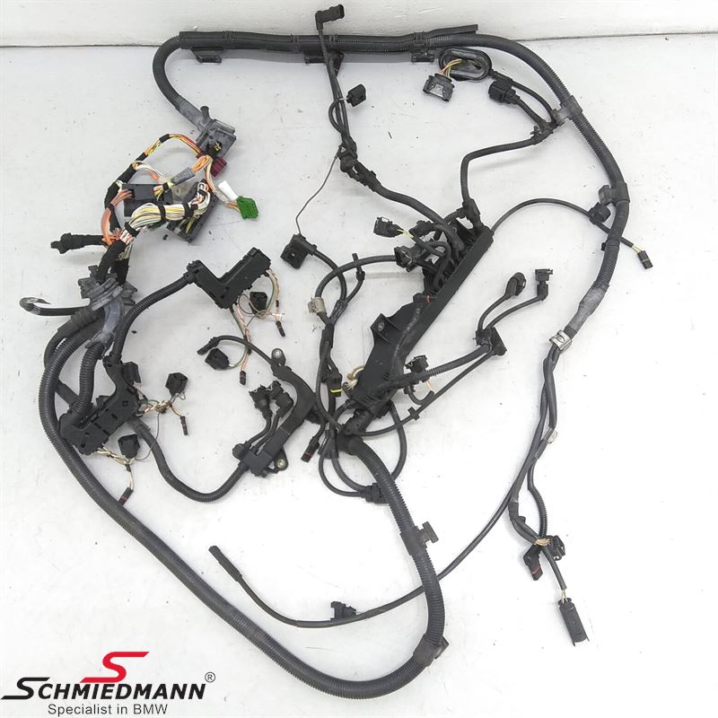 Engine Wiring Harness 